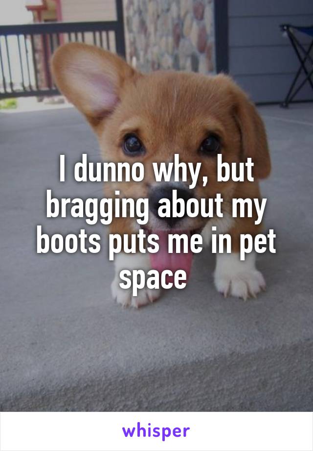 I dunno why, but bragging about my boots puts me in pet space 