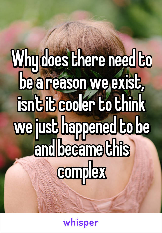 Why does there need to be a reason we exist, isn't it cooler to think we just happened to be and became this complex