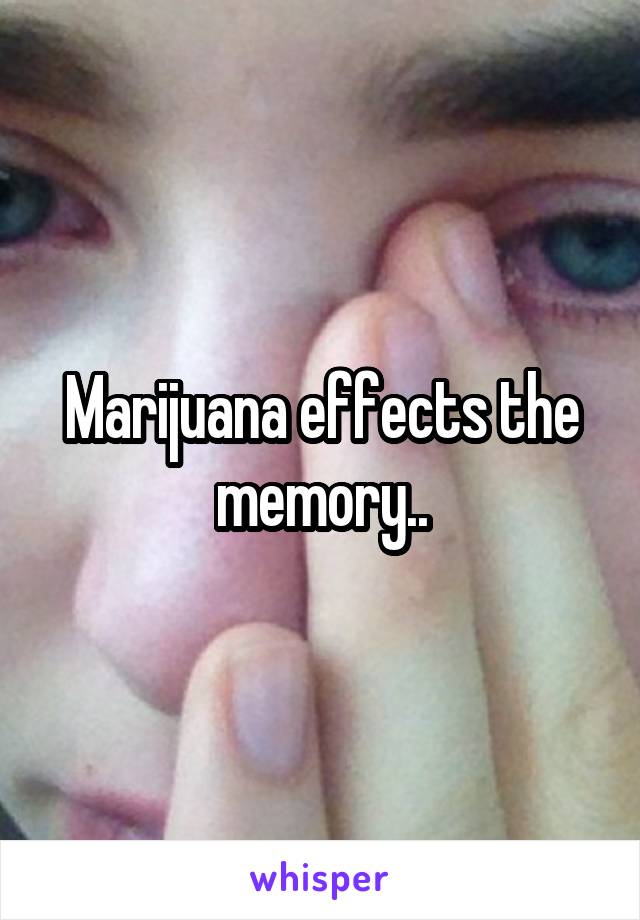 Marijuana effects the memory..