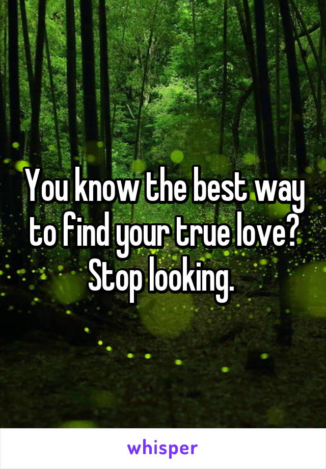 You know the best way to find your true love? Stop looking. 