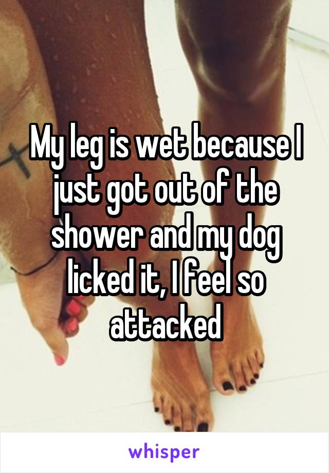 My leg is wet because I just got out of the shower and my dog licked it, I feel so attacked