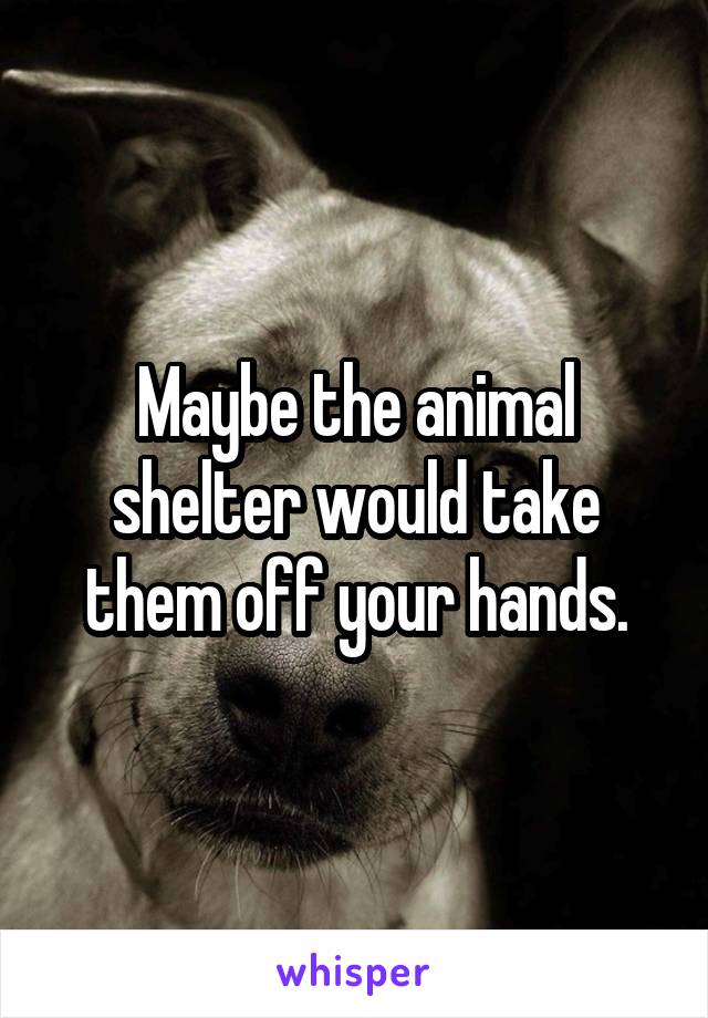 Maybe the animal shelter would take them off your hands.