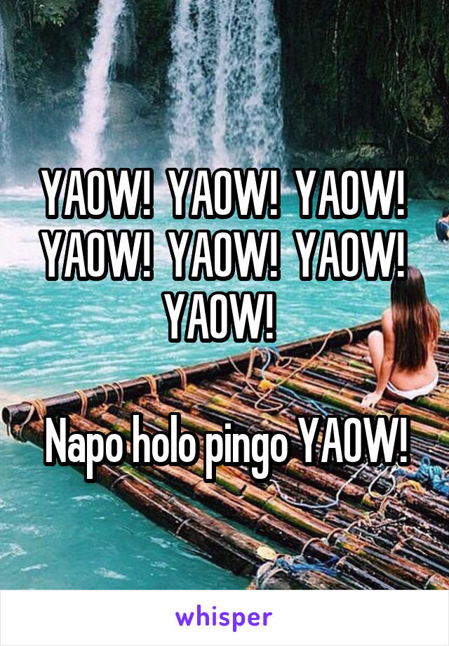 YAOW!  YAOW!  YAOW!  YAOW!  YAOW!  YAOW!  YAOW!  

Napo holo pingo YAOW!