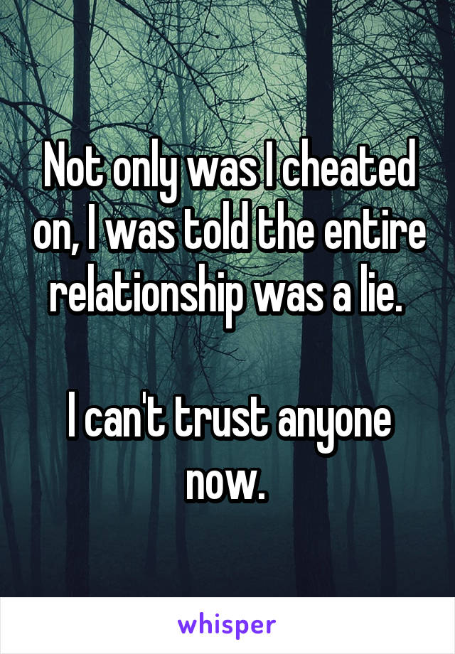 Not only was I cheated on, I was told the entire relationship was a lie. 

I can't trust anyone now. 