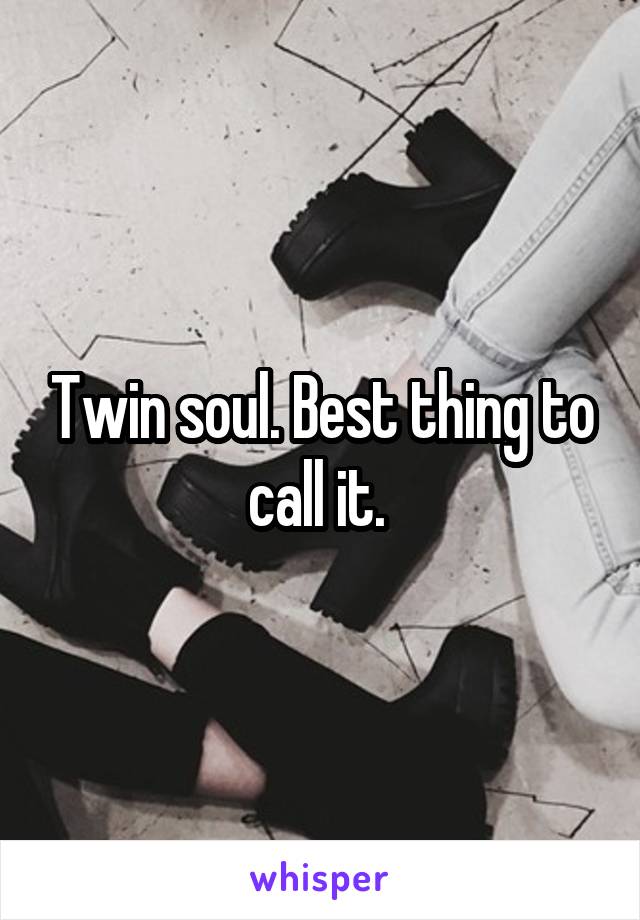 Twin soul. Best thing to call it. 