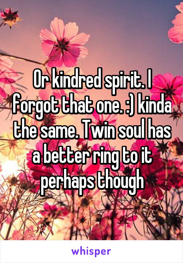 Or kindred spirit. I forgot that one. :) kinda the same. Twin soul has a better ring to it perhaps though