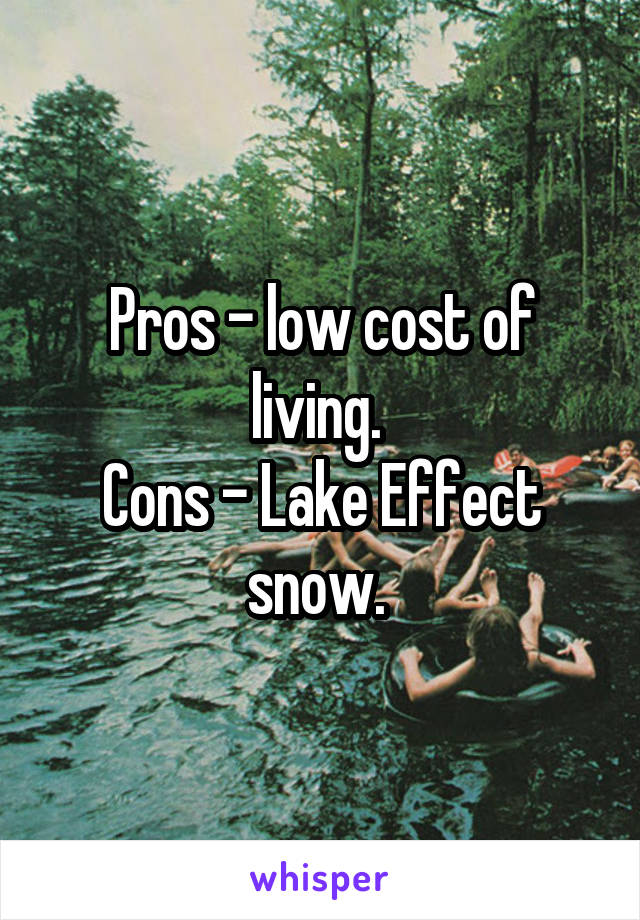 Pros - low cost of living. 
Cons - Lake Effect snow. 