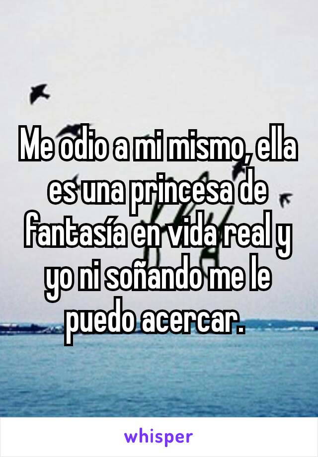 Me odio a mi mismo, ella es una princesa de fantasía en vida real y yo ni soñando me le puedo acercar. 