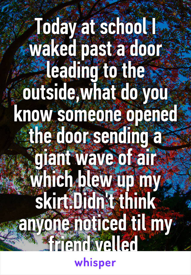 Today at school I waked past a door leading to the outside,what do you know someone opened the door sending a giant wave of air which blew up my skirt.Didn't think anyone noticed til my friend yelled 