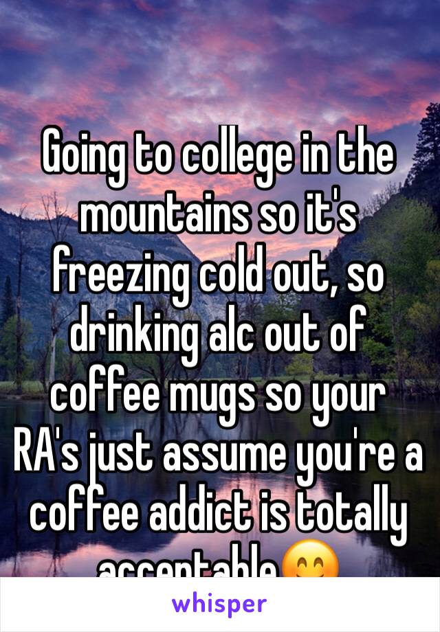 Going to college in the mountains so it's freezing cold out, so drinking alc out of coffee mugs so your RA's just assume you're a coffee addict is totally acceptable🤗