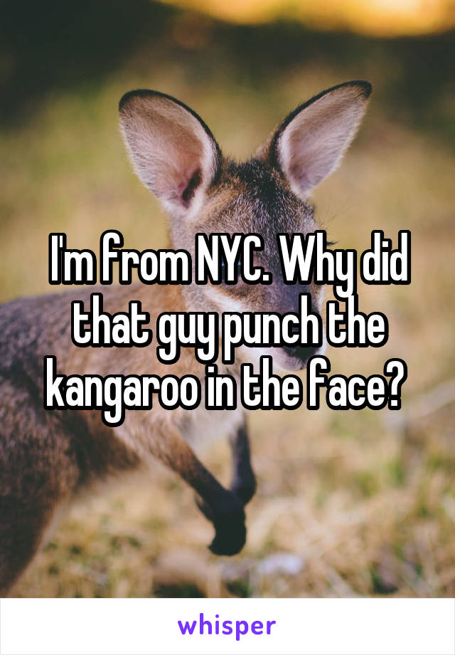 I'm from NYC. Why did that guy punch the kangaroo in the face? 