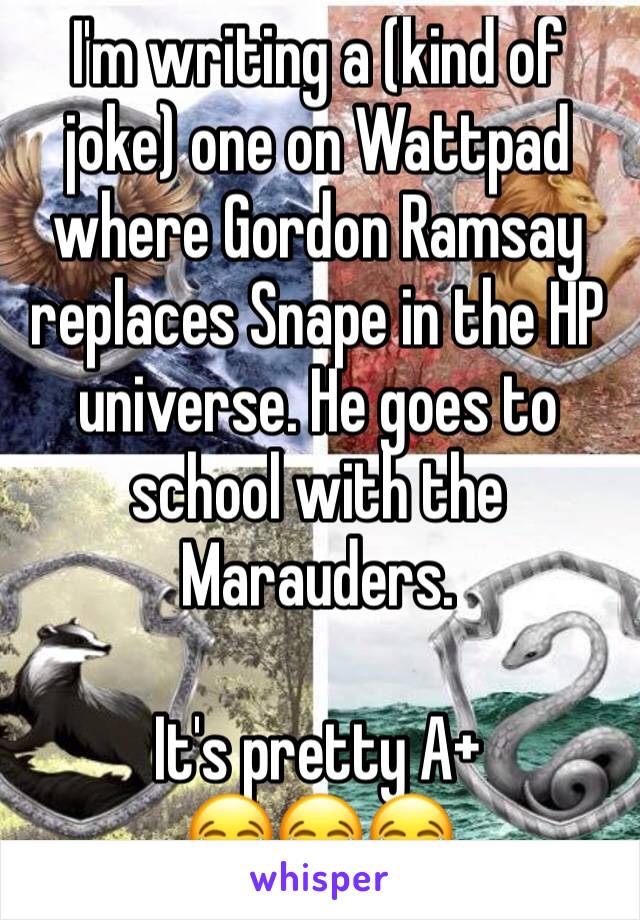 I'm writing a (kind of joke) one on Wattpad where Gordon Ramsay replaces Snape in the HP universe. He goes to school with the Marauders.

It's pretty A+
😂😂😂