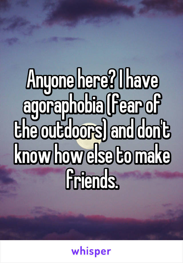 Anyone here? I have agoraphobia (fear of the outdoors) and don't know how else to make friends.