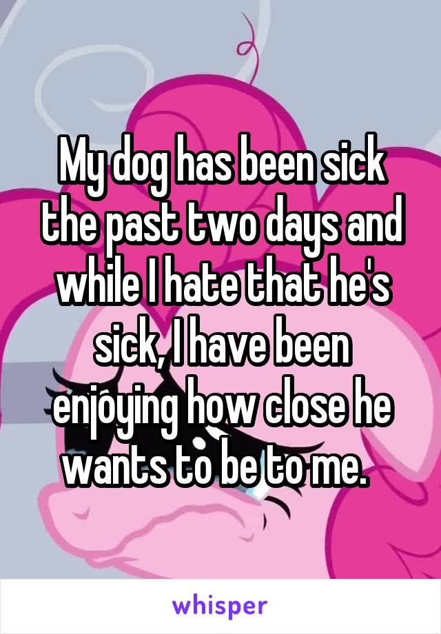 My dog has been sick the past two days and while I hate that he's sick, I have been enjoying how close he wants to be to me.  