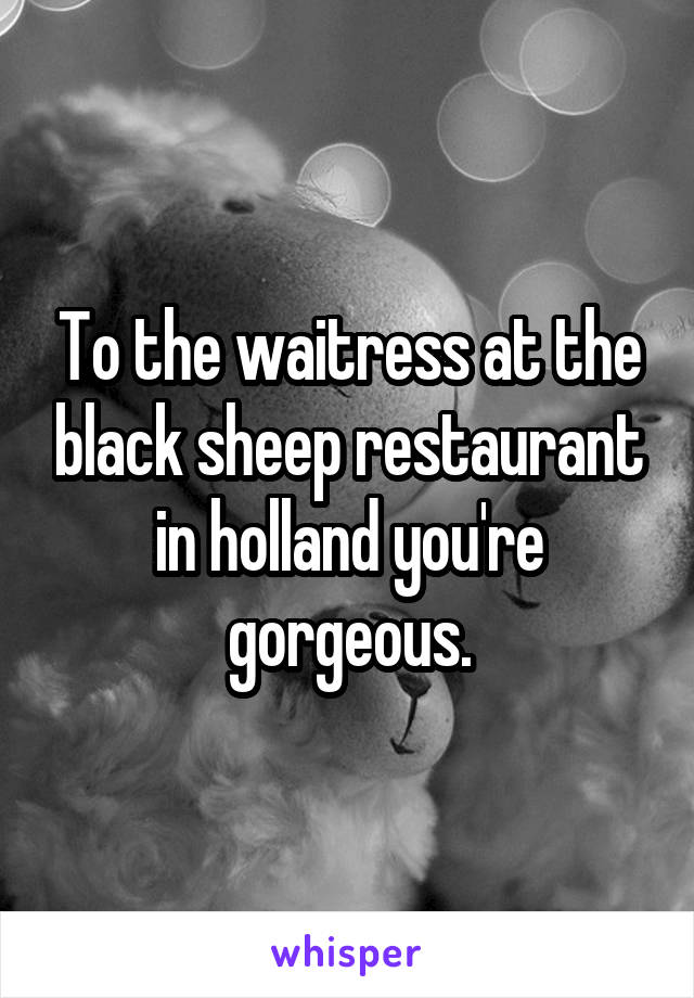 To the waitress at the black sheep restaurant in holland you're gorgeous.