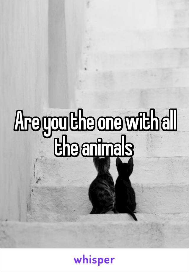 Are you the one with all the animals 