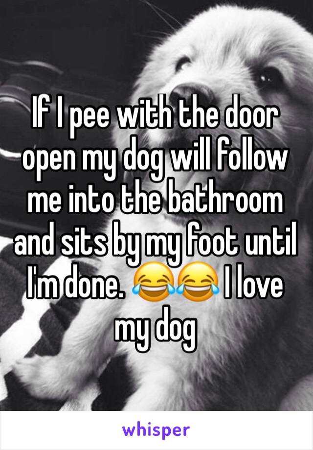 If I pee with the door open my dog will follow me into the bathroom and sits by my foot until I'm done. 😂😂 I love my dog