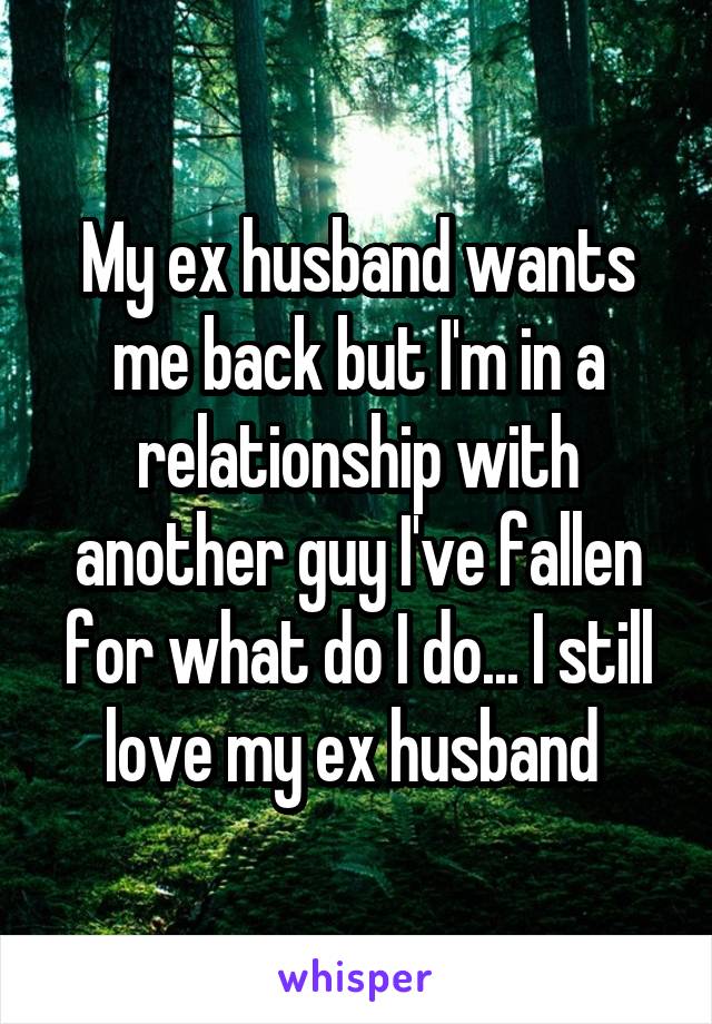 My ex husband wants me back but I'm in a relationship with another guy I've fallen for what do I do... I still love my ex husband 