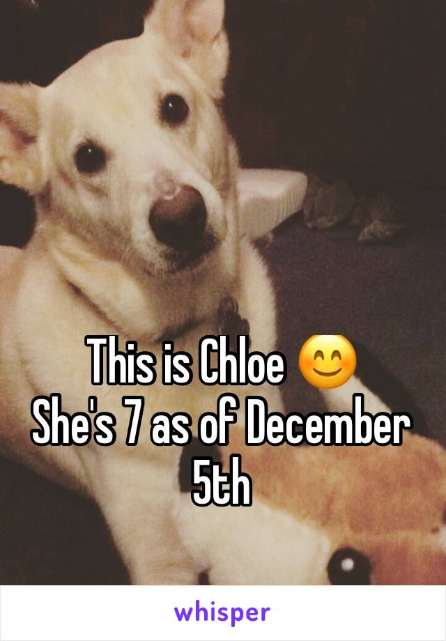 This is Chloe 😊
She's 7 as of December 5th 