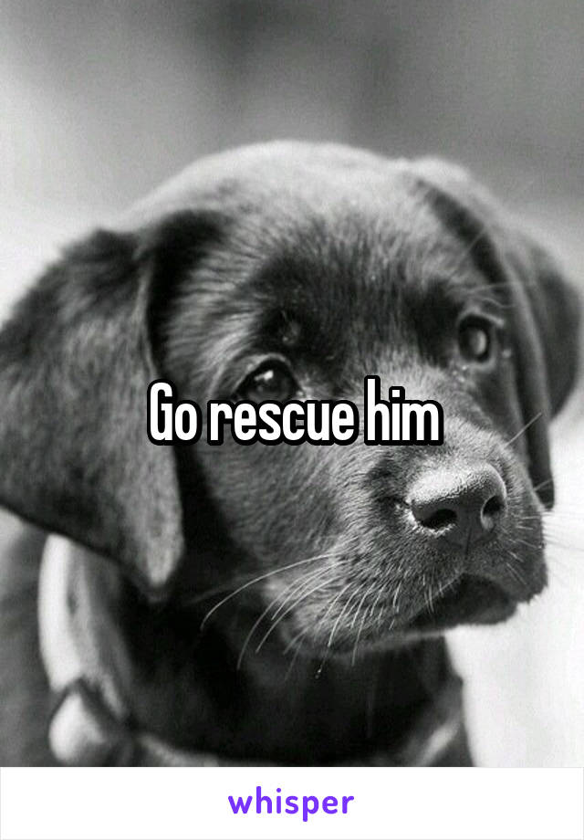 Go rescue him