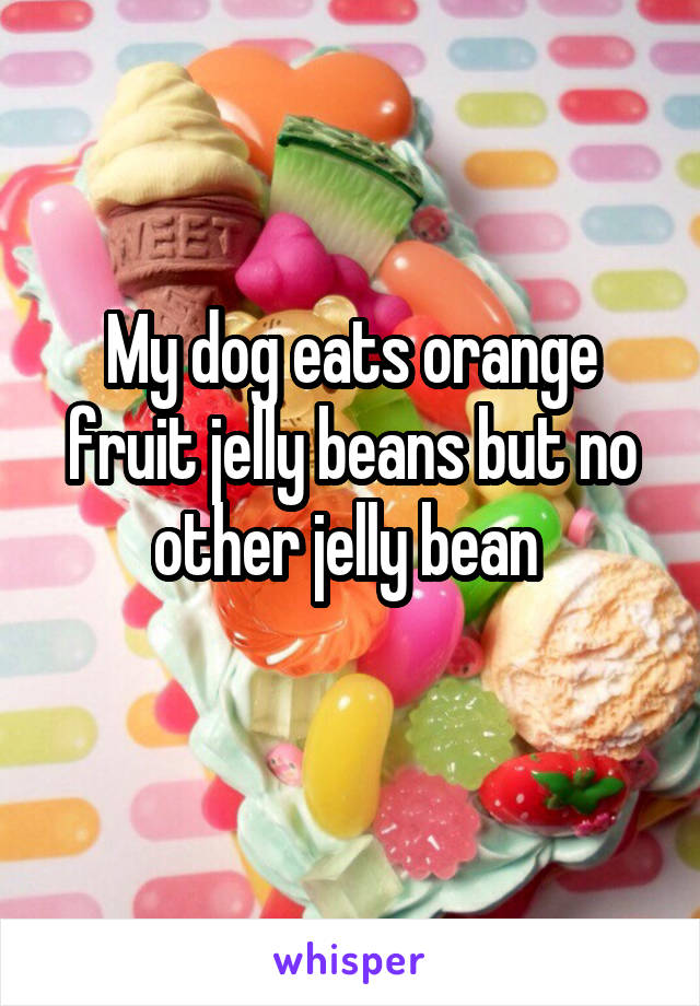 My dog eats orange fruit jelly beans but no other jelly bean 
