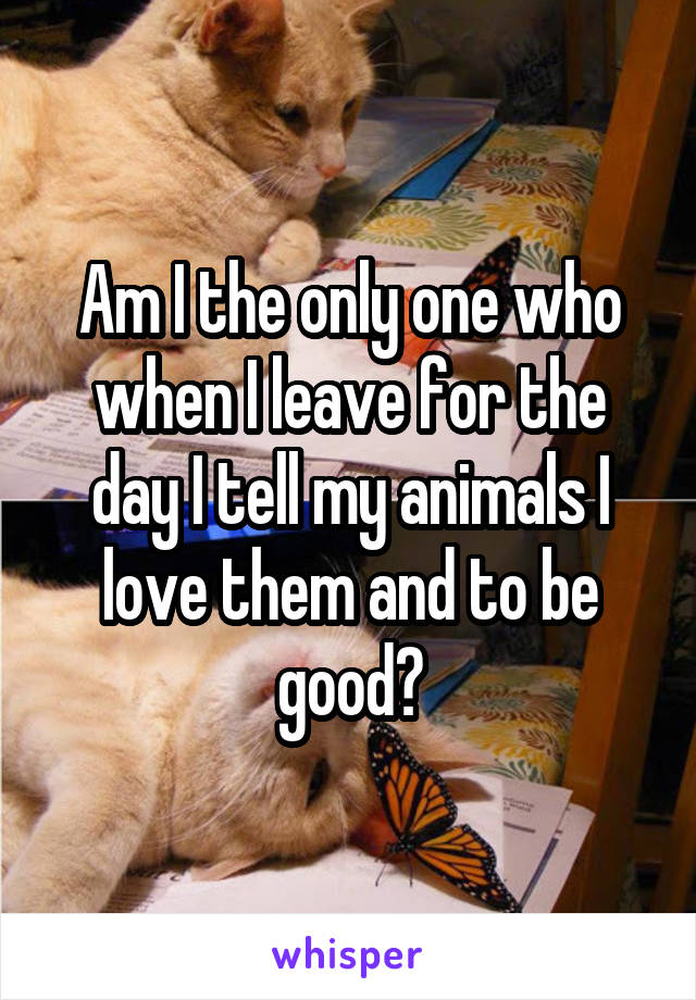 Am I the only one who when I leave for the day I tell my animals I love them and to be good?