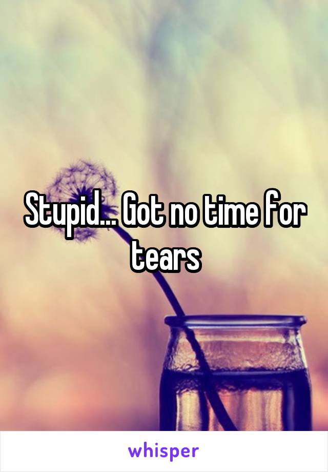 Stupid... Got no time for tears