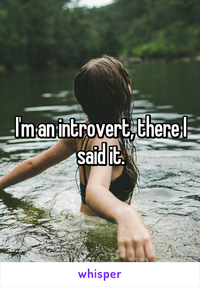 I'm an introvert, there I said it.