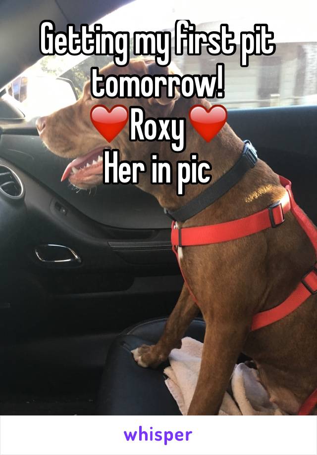 Getting my first pit tomorrow!
❤️Roxy❤️
Her in pic