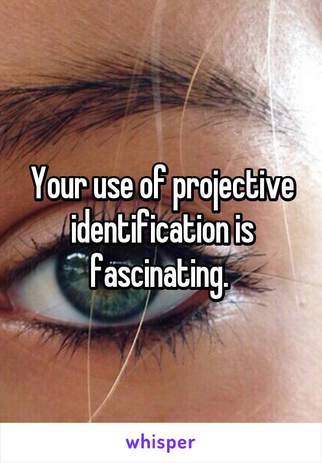 Your use of projective identification is fascinating. 