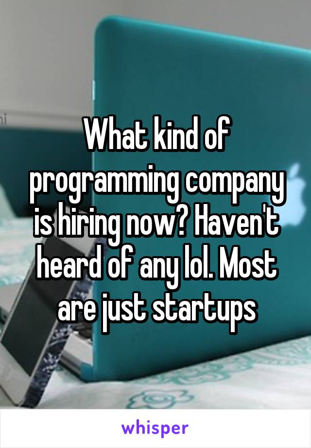 What kind of programming company is hiring now? Haven't heard of any lol. Most are just startups