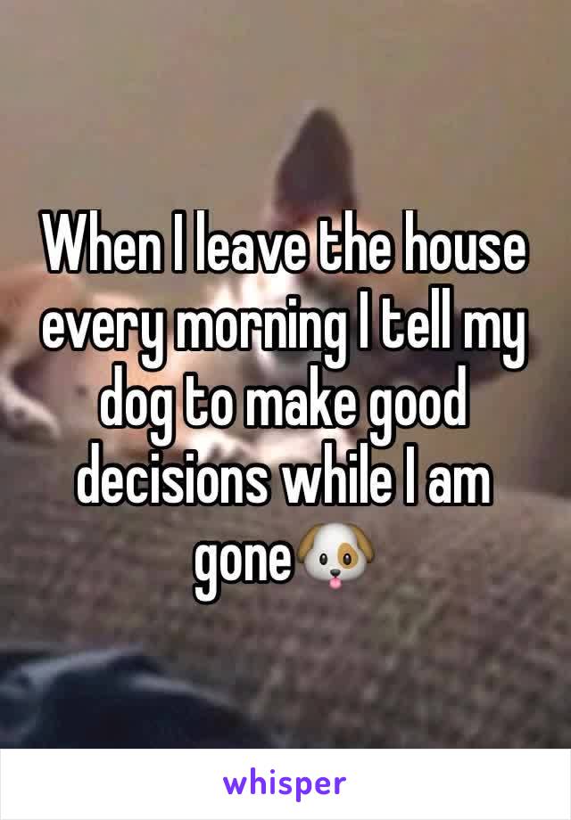 When I leave the house every morning I tell my dog to make good decisions while I am gone🐶