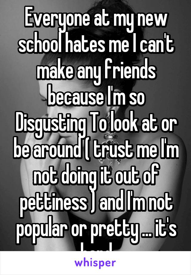 Everyone at my new school hates me I can't make any friends because I'm so Disgusting To look at or be around ( trust me I'm not doing it out of pettiness ) and I'm not popular or pretty ... it's hard