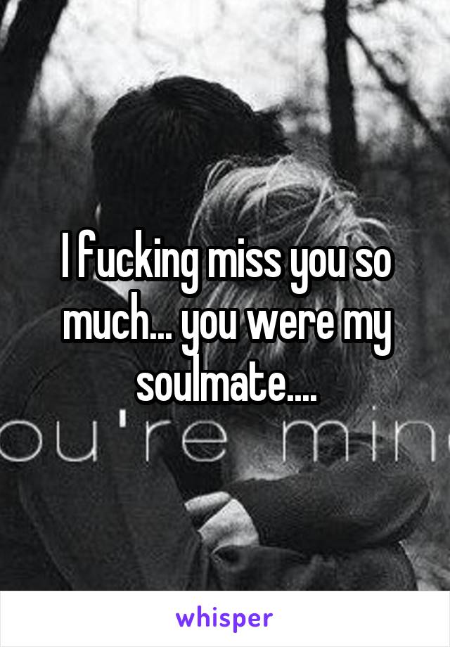 I fucking miss you so much... you were my soulmate....