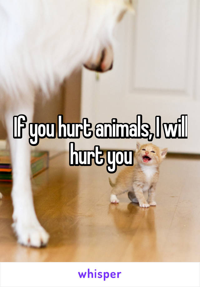 If you hurt animals, I will hurt you