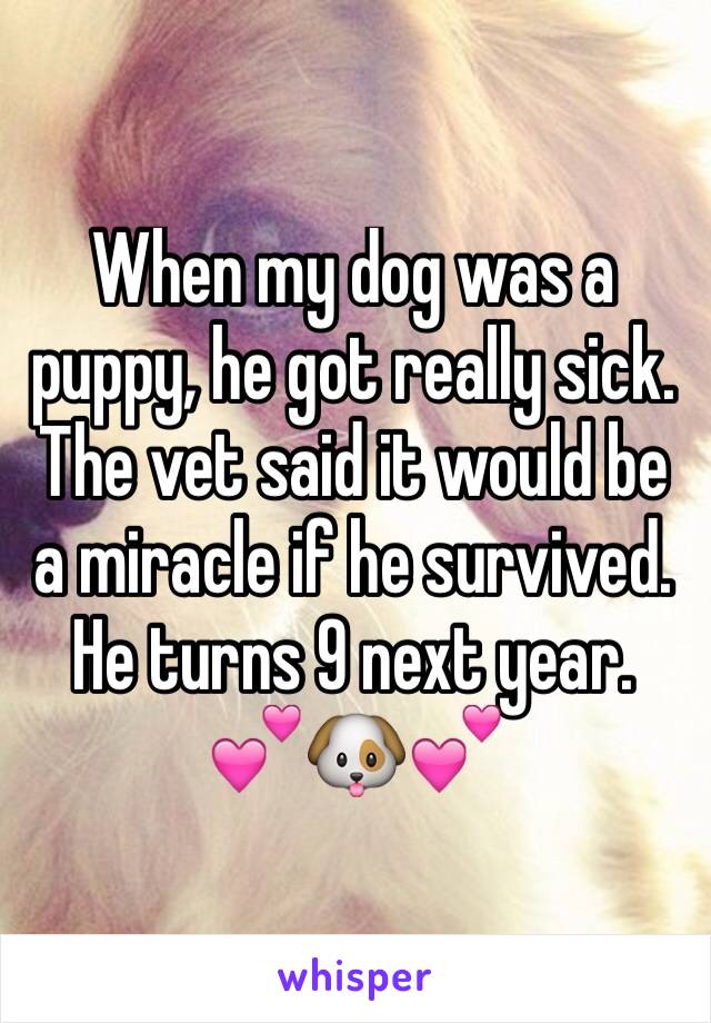 When my dog was a puppy, he got really sick. The vet said it would be a miracle if he survived. He turns 9 next year. 💕🐶💕