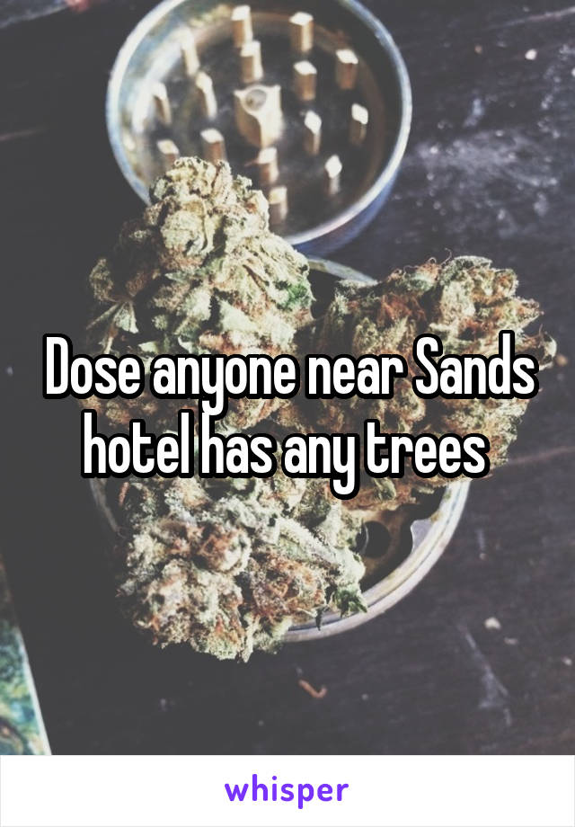 Dose anyone near Sands hotel has any trees 