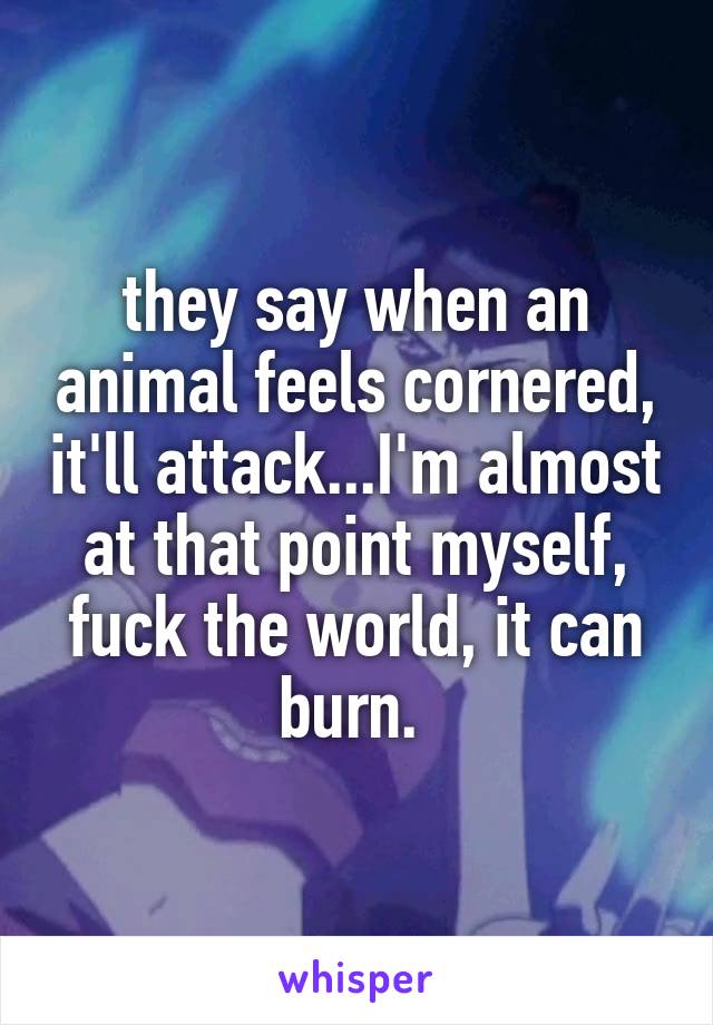 they say when an animal feels cornered, it'll attack...I'm almost at that point myself, fuck the world, it can burn. 