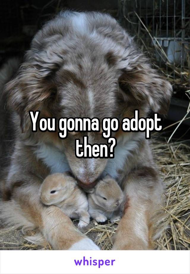 You gonna go adopt then?