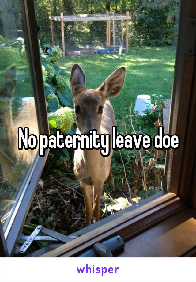 No paternity leave doe