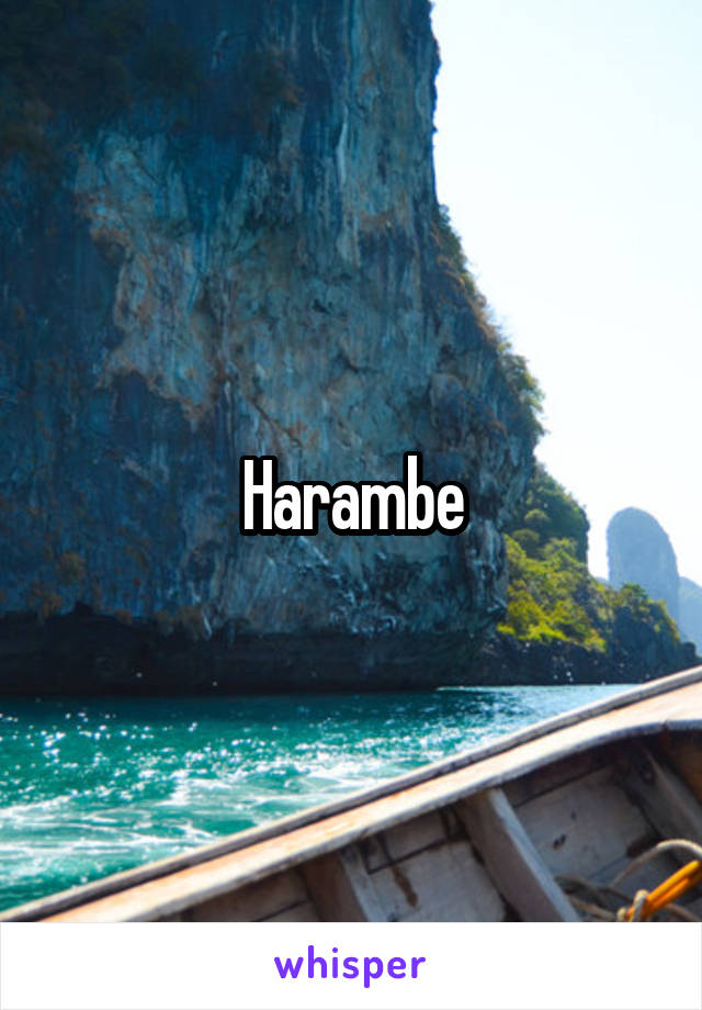 Harambe