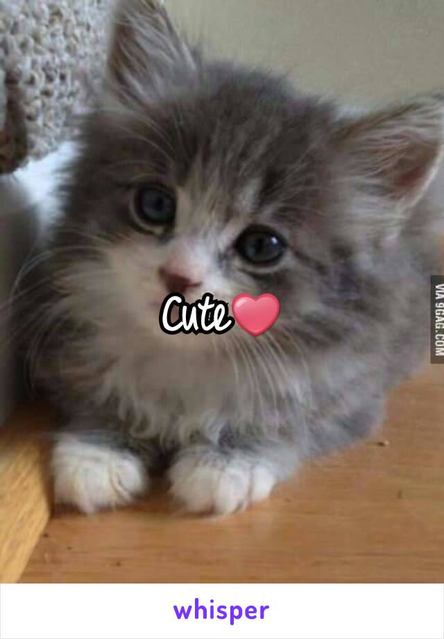 Cute❤