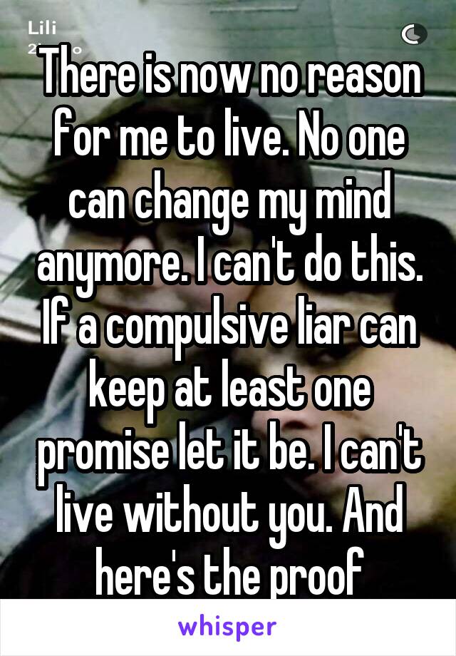 There is now no reason for me to live. No one can change my mind anymore. I can't do this. If a compulsive liar can keep at least one promise let it be. I can't live without you. And here's the proof