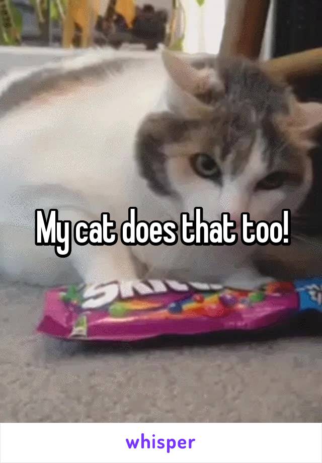 My cat does that too!