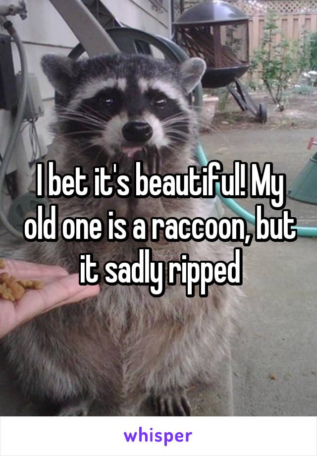 I bet it's beautiful! My old one is a raccoon, but it sadly ripped