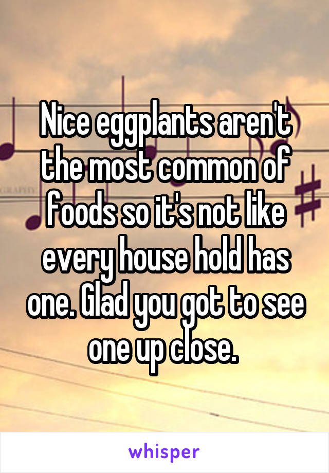 Nice eggplants aren't the most common of foods so it's not like every house hold has one. Glad you got to see one up close. 