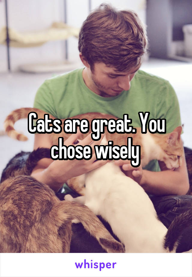 Cats are great. You chose wisely 