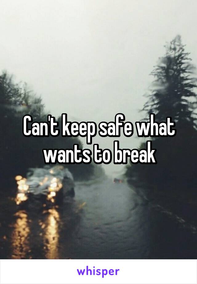 Can't keep safe what wants to break