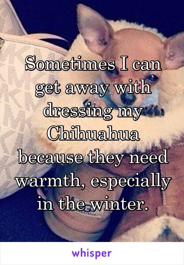 Sometimes I can get away with dressing my Chihuahua because they need warmth, especially in the winter.