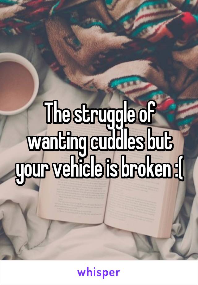 The struggle of wanting cuddles but your vehicle is broken :(